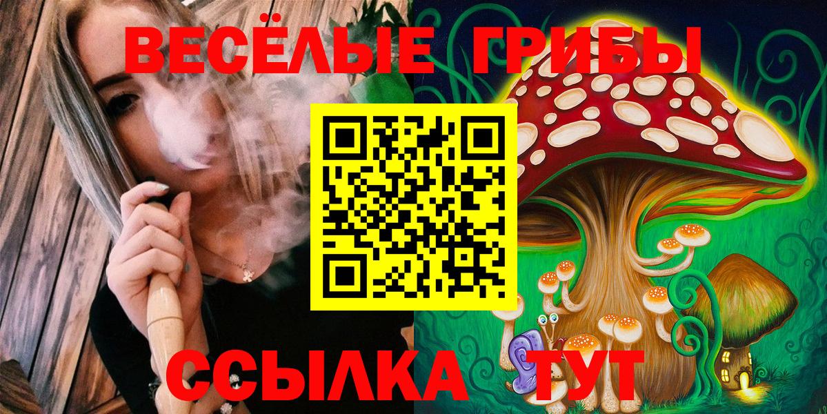 Ижевск  закладка  Вход с VPN  Галлюциногенные грибы GOLDEN TEACHER 