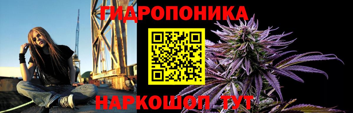 Конопля Bruce Banner Ижевск